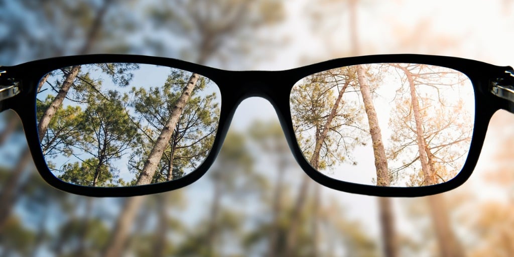 glasses focusing a forest picture id874576192